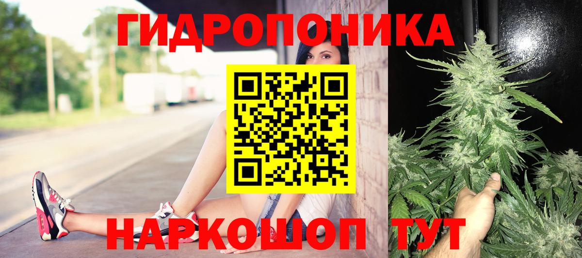 Каннабис Amnesia  Шишки марихуана индика  Вход с VPN  Сальск  МАРИХУАНА конопля 
